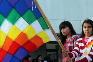 Lideresas reclaman que Diputados trate el miércoles la Emergencia Territorial Indígena