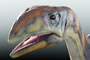 Groenlandia: descubren una nueva especie de dinosaurio de hace 214 millones de años