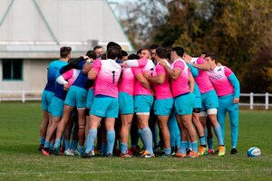 Los Pumas buscan recuperarse tras siete derrotas seguidas (Fuente: Prensa Pumas)