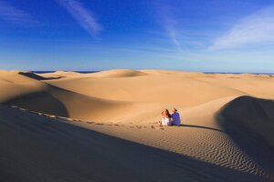 Islas Canarias: los encuentros sexuales en un área de dunas está deteriorando el ecosistema