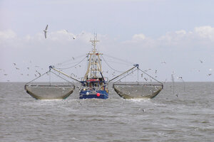 Reducen y eliminan retenciones a productos pesqueros