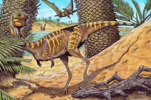Nueva especie de dinosaurios: Descubrieron a un "pariente" del Tiranosaurio Rex con pico (Fuente: DPA)