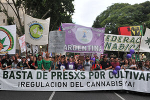 Cannabis medicinal: a las calles por la liberación (Fuente: Leandro Teysseire)