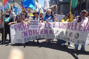 Pueblos originarios y movimientos sociales marcharon al Congreso por la emergencia territorial