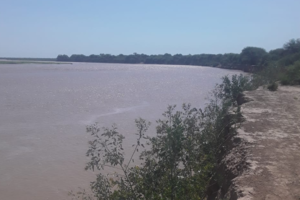 Lluvias, crecidas y amenaza de desborde del Pilcomayo en el Chaco salteño