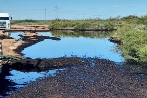 Derrame de petróleo en Río Negro: el Ministerio de Ambiente busca "evaluar el daño ocasionado"