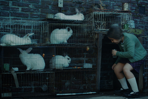 La casa de los conejos: el horror en los ojos de una niña (Fuente: La casa de los conejos (película) | Prensa)