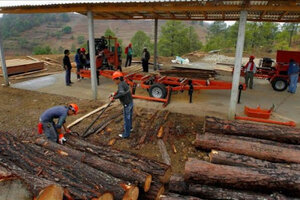 Obrajeros del norte piden detalles sobre un proyecto de productos forestales