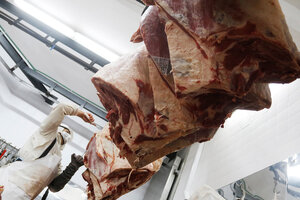 Los 7 cortes de carne populares que no podrán exportarse por dos años (Fuente: Leandro Teysseire)