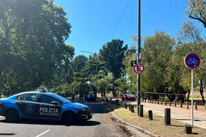 Ciclistas atropellados en Palermo: el conductor del Focus dio positivo al narcotest (Fuente: NA)