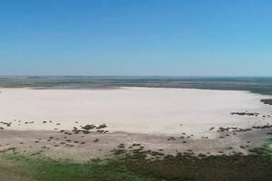 Santa Fe: en medio de la sequía y la ola de calor, desapareció la laguna de Paiva (Fuente: Gentileza El Litoral)