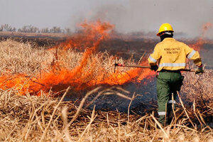 Extinguen incendios en las islas del Paraná (Fuente: Télam)