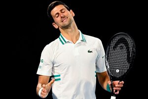 La náusea, Djokovic y el liberalismo de los necios (Fuente: EFE)