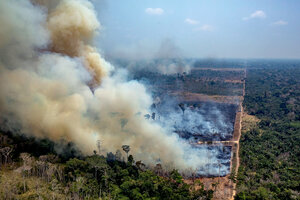 Brasil: devastación ambiental (Fuente: AFP)