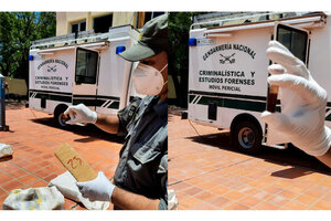 Gendarmería Nacional secuestró 1.800 kilos de marihuana escondidos en un camión en Formosa