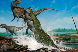 Descubren los restos de un dinosaurio en el interior de un cocodrilo fosilizado