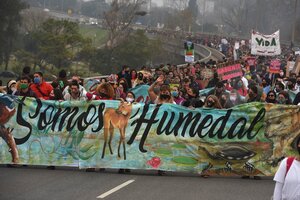 Corrientes, un bastión de la resistencia contra la ley nacional de humedales (Fuente: Sebastián Granata)