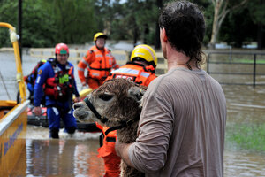 Efectos del Cambio Climático: 200 mil personas evacuadas por un temporal arrasador en Australia (Fuente: AFP)
