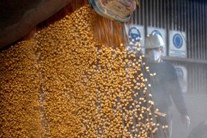 España y Francia pidieron a la UE permiso para importar cereales argentinos