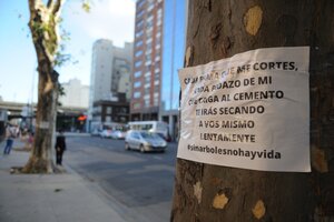 Legisladores porteños piden informes al gobierno porteño por la tala de árboles (Fuente: Guadalupe Lombardo)