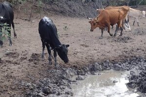 Campesinos alertan que habrá una nueva sequía  