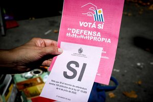 Referéndum en Uruguay: qué se vota este domingo, qué es la LUC y qué dicen sus artículos (Fuente: EFE)
