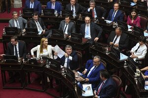 Amplio apoyo del oficialismo al proyecto para recuperar el dinero fugado y pagarle al FMI