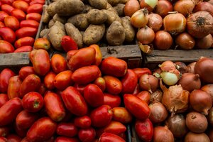 La canasta regulada de frutas y verduras ya tiene fecha (Fuente: Bernardino Avila)