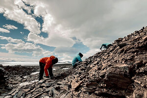 Investigadores de la Universidad de La Plata analizan peces del Jurásico en la Antártida   (Fuente: Télam)