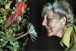 La artista botánica Margaret Mee (1909-1988), la primera en declararse ecologista y defensora del Amazonas
