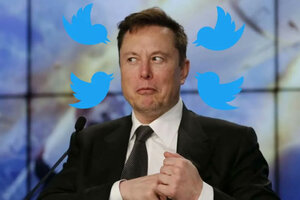 Elon Musk compró Twitter: pagará menos de lo que Argentina le debe al FMI