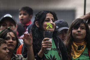 La Corte Suprema escuchará a los que cultivan cannabis con fines medicinales (Fuente: Télam)