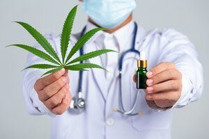 Nuevas condiciones para el registro de cultivadores de cannabis para uso medicinal