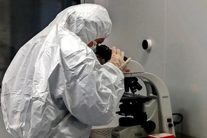 La OMS confirmó 228 casos de la hepatitis infantil de origen desconocido (Fuente: EFE)