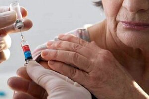 Vacuna antigripal: advierten por un "brote profundo" de gripe y piden agilizar la  inmunización