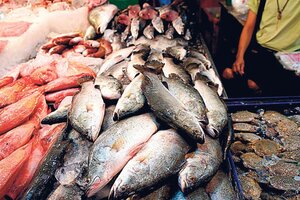 Pescadazo a precios populares en el Mercado Central: ofertas y promociones