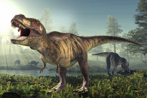 Un nuevo estudio revela que la mayoría de los dinosaurios eran de sangre caliente (Fuente: AFP)