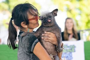El "Sr. Rostro Feliz" se convirtió en el nuevo perro más feo del mundo