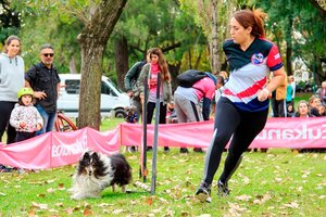 El entrenamiento para mascotas en SportClub (Fuente: Prensa SportClub)