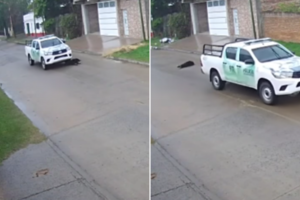 Imágenes sensibles: un patrullero atropelló a un perrito y lo dejó morir en la calle 