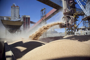 Las cerealeras constituyen un factor de presión sobre la política económica. (Fuente: NA)