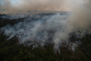 La Amazonia, con récord de bosque deforestado (Fuente: AFP)