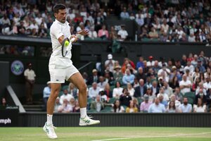 Wimbledon: Djokovic avanzó a los cuartos de final (Fuente: AFP)