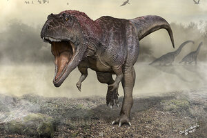 Meraxes Gigas, una nueva especie de dinosaurio carnívoro gigante hallada en la provincia de Neuquén. (Fuente: EFE)