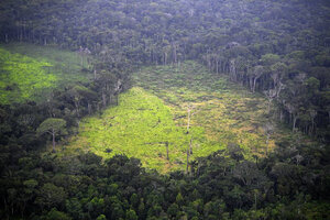 Récord de deforestación en el Amazonia brasilera (Fuente: AFP)