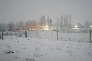 Mendoza amaneció cubierta de un manto de nieve y los paisajes blancos inundaron las redes sociales