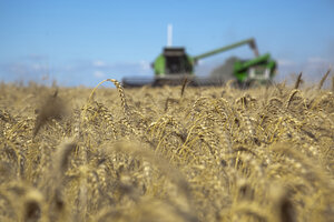 Evasión agropecuaria: los productores de granos deberán informar dos veces al año su volumen de producción (Fuente: NA)