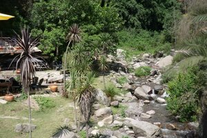 San Lorenzo: vecinos reclaman protección de los bosques nativos
