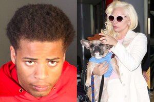 Estados Unidos: liberan por error al acusado de balear al paseador de perros de Lady Gaga