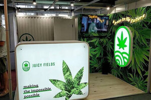 Juicy Fields: el fraude del cannabis que afecta a decenas de miles de españoles